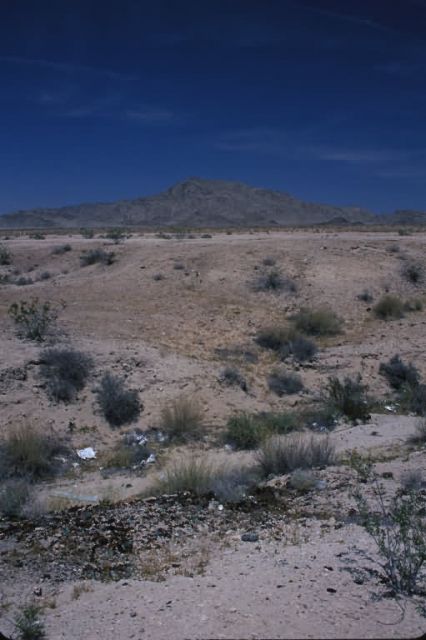 Mojave Desert Picture