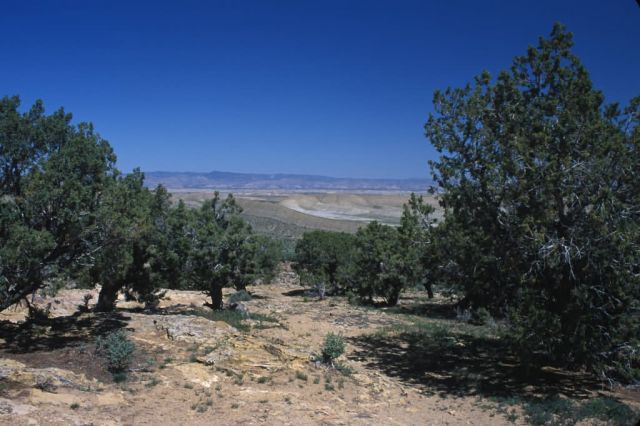 Eastern Utah Picture