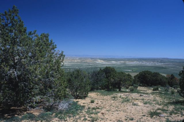 Eastern Utah Picture