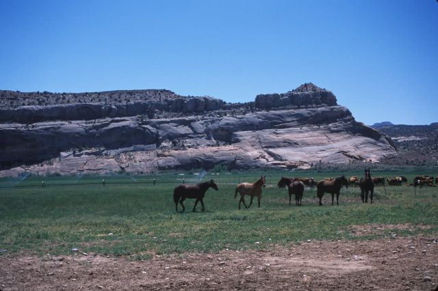 Eastern Utah Ranch Picture