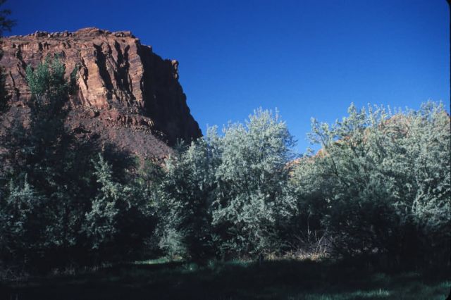 Rock Formation in Moab, Utah Picture