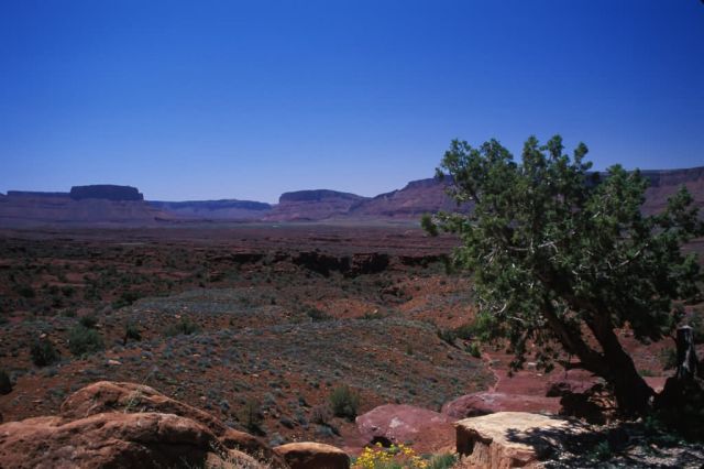 Eastern Utah Picture