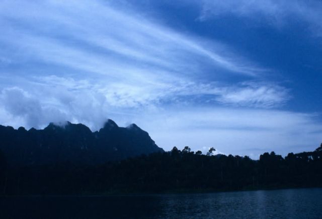 Khao Sok National Park Picture