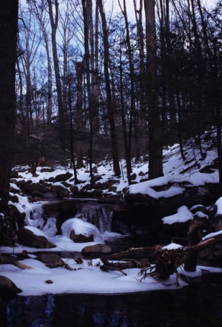 Waterfall in Little Stoney Creek Picture