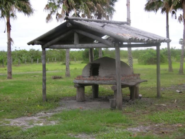 Bread oven in Pantanal Picture
