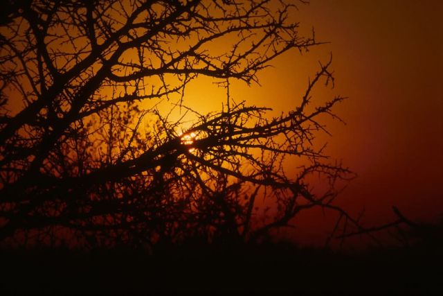 Sunset at Kruger National Park Picture