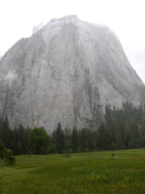 El Capitan rising above a Yosemite meadow. Picture