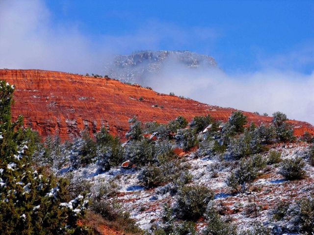 Red sandstone and white snow dusting pinion pines with a high mountain looming over all through low-lying clouds. Picture