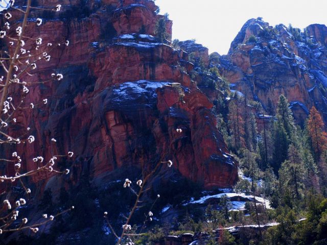 Desert colors of red and yellow sandstone, pines, and snow in Oak Creek Canyon. Picture