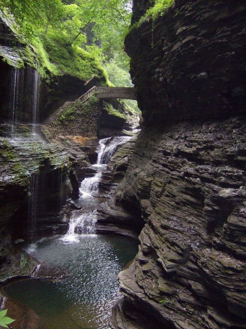 Stream, waterfall, pools, and lush green foliage at Watkins Glen State Park. Picture