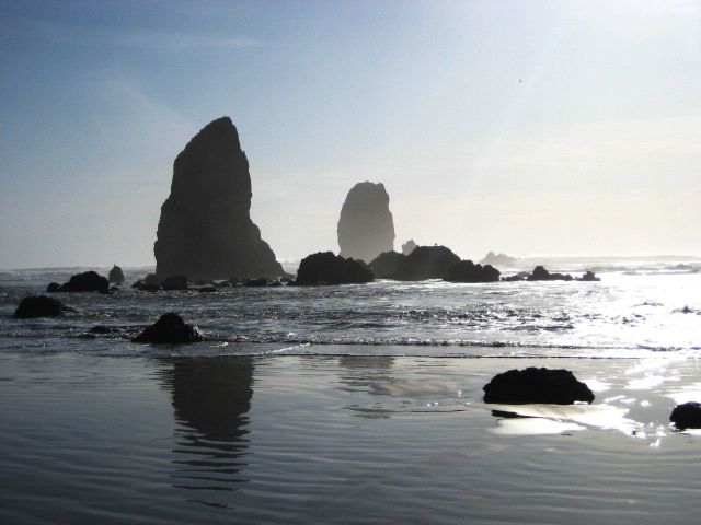 Sea stacks, surf, and sun Picture