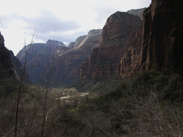 A view in Zion National Park Picture