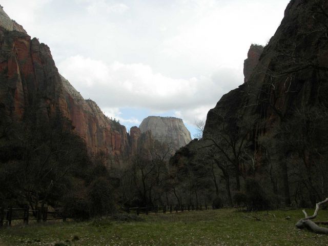 A view in Zion National Park Picture