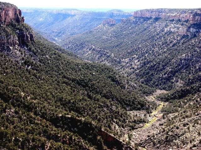Mesa Verde National Park. Picture