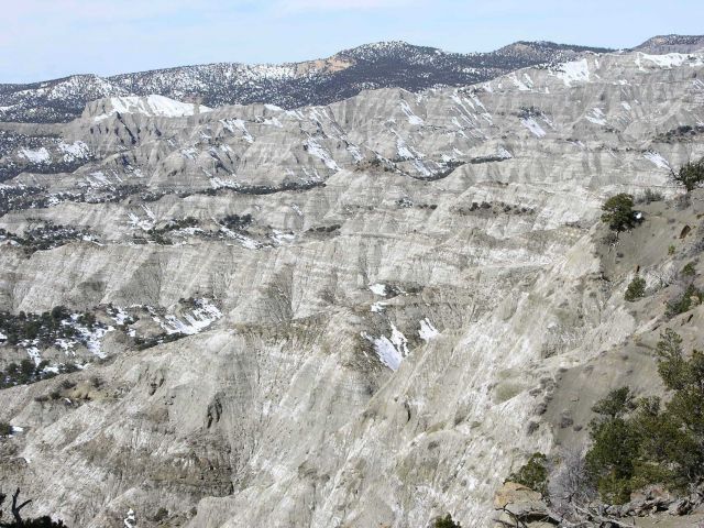 A grey landscape Picture