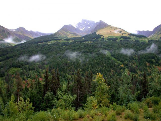 A tinge of fall in south central Alaska Picture