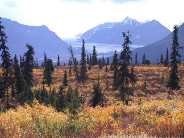 Mountains, a glacier, and fall colors. Picture