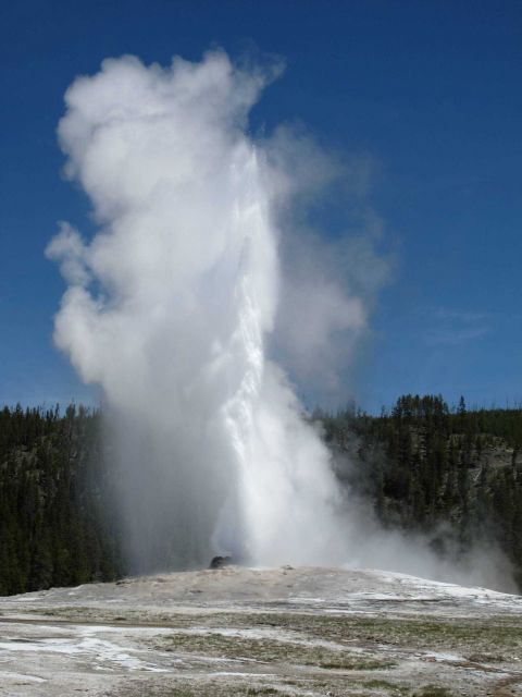 Old Faithful Geyser erupting Picture