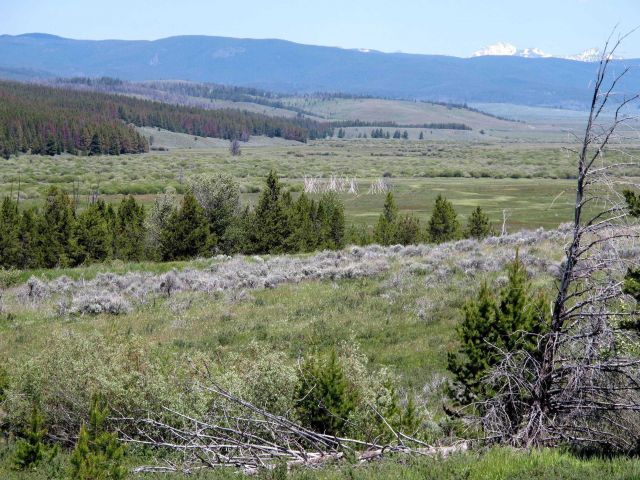 Big Hole Battlefield Picture