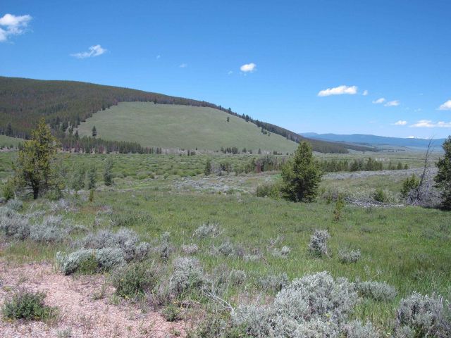 Area of the Big Hole Battlefield Picture
