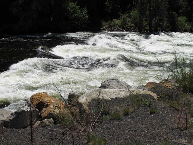 Big water on the Lochsa River Picture