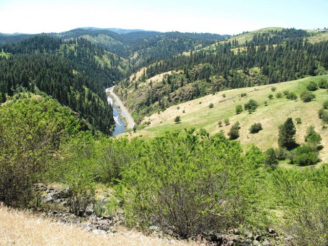 Looking down the to the Clearwater River from halfway up Harpster Grade east of Grangeville. Picture