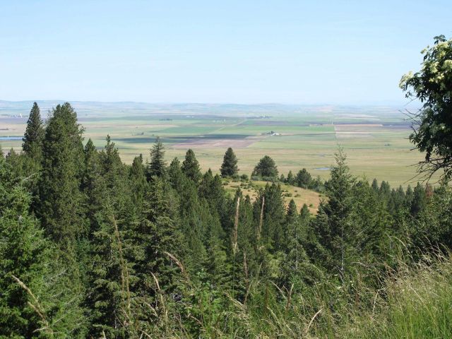 Looking out towards Camas Prairie from U.S Picture
