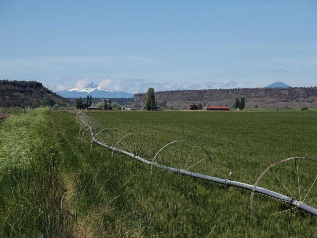 Mount Jefferson, a peak in the Cascades is centered in a notch in Columbia River basalts Picture