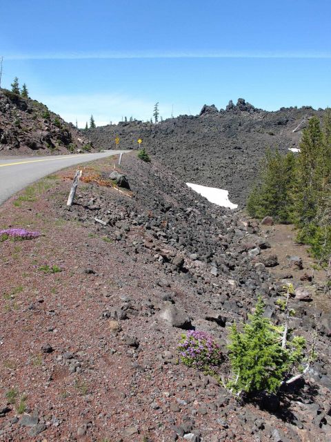 Volcanic terrain on the road up McKenzie Pass passing over the Cascades Picture