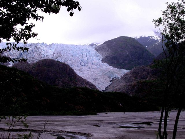 The terminus of Herbert Glacier Picture