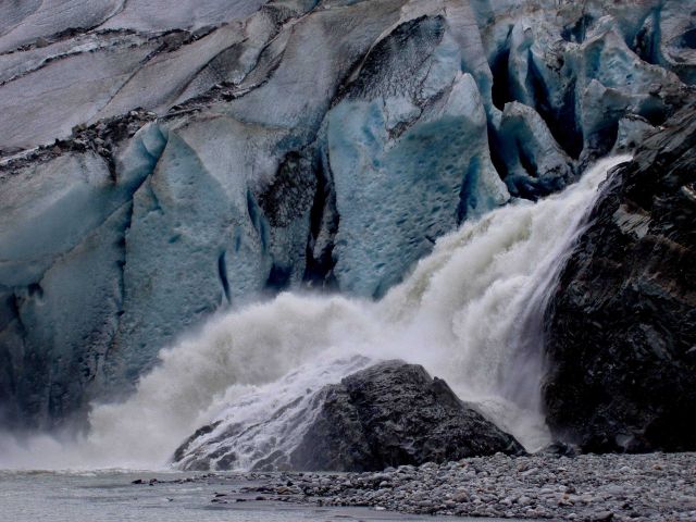 The terminus of Mendenhall Glacier Picture
