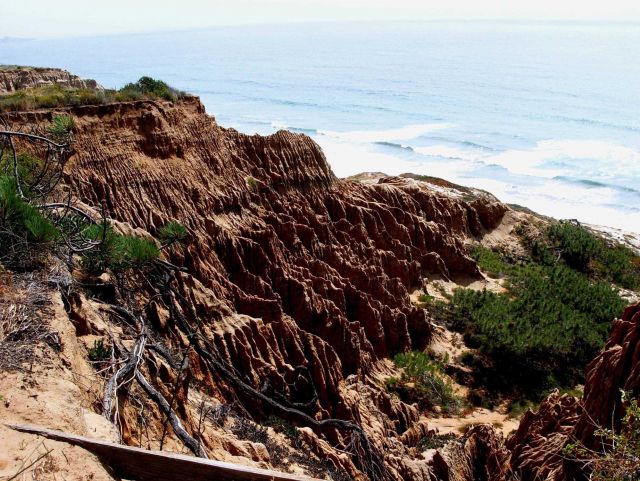 Rain-sculpted soft sediment eroding arroyo in Torrey Pines State Park Picture