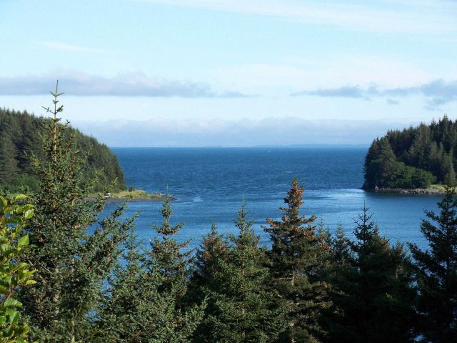 A symmetrical inlet along the shores of Kodiak Island Picture