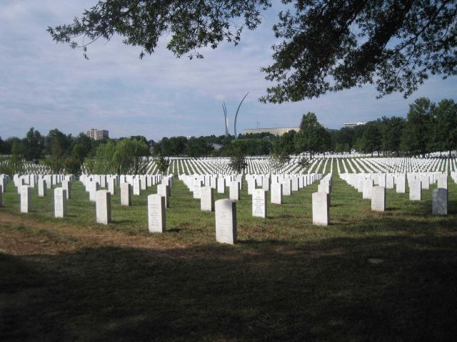Rows upon rows of those who served our Nation Picture