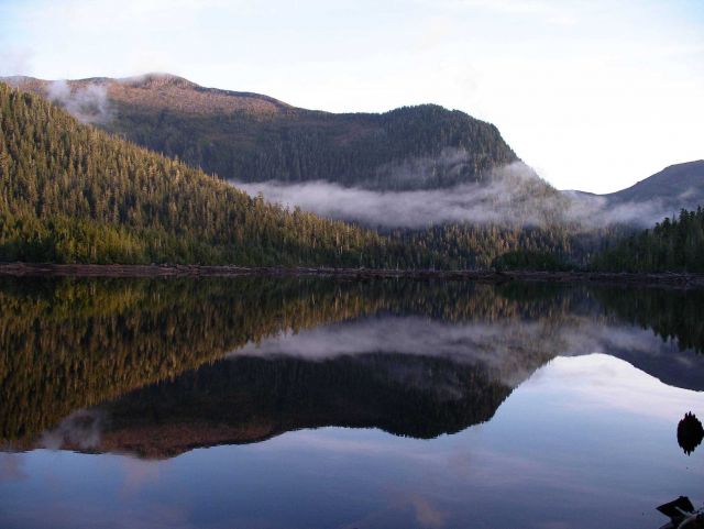 A still morning at Harriet Lakes Picture