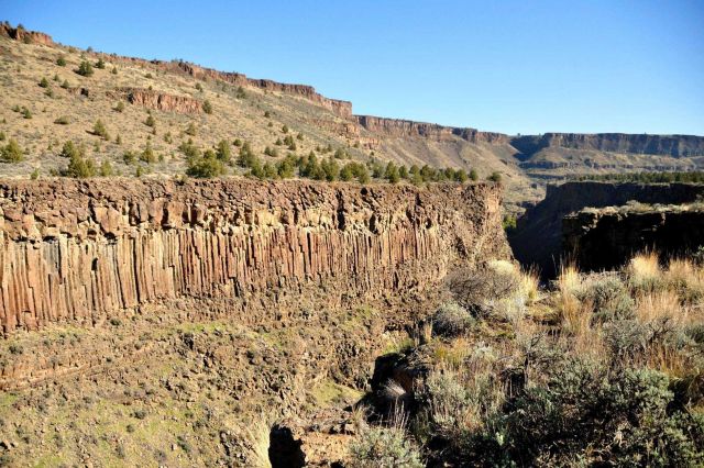 A classic example of columnar jointing in an outcrop of Columbia River basalt. Picture