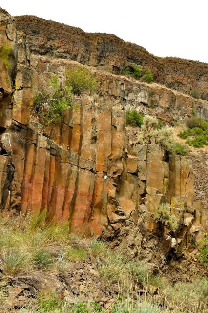 Columnar jointing in Columbia River basalt flows. Picture