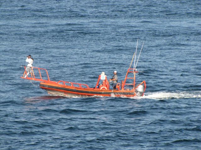 RHIB off of NOAA Ship PISCES engaged in marine mammal photography Picture