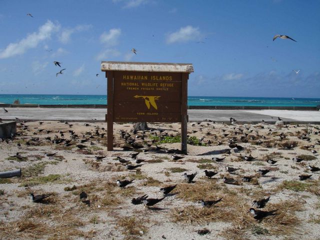 Hawaiian Islands National Wildlife Refuge at Tern Island Picture