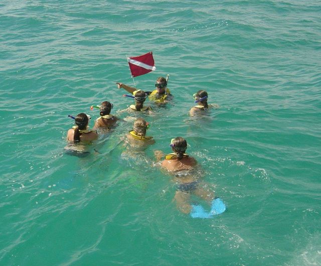 A pod of homo sapiens preparing to dive Picture