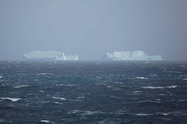 Icebergs Picture