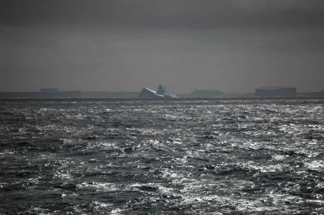 Icebergs Picture