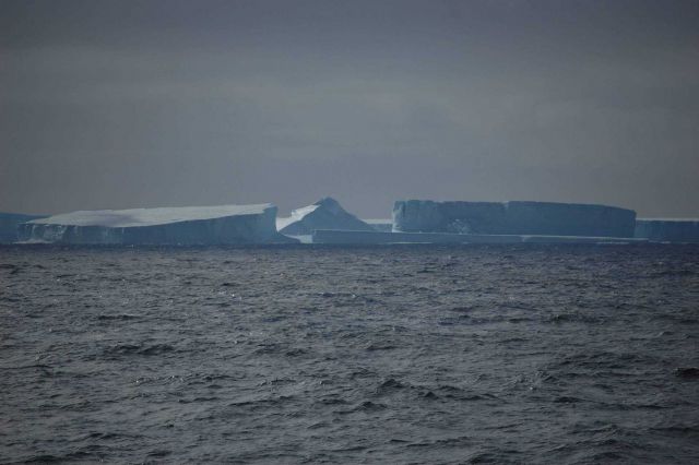 Icebergs Picture