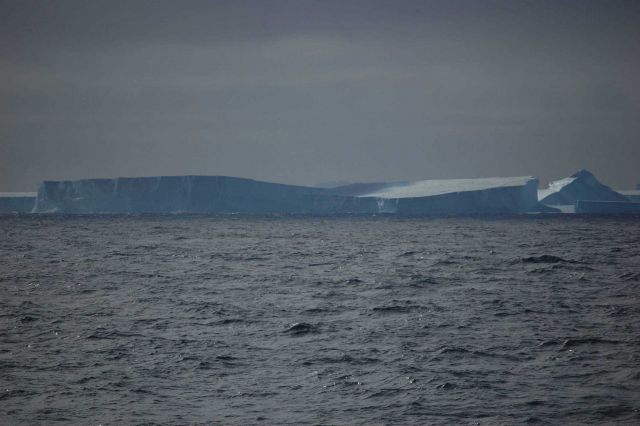 Icebergs Picture