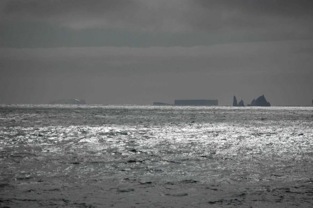 Icebergs Picture