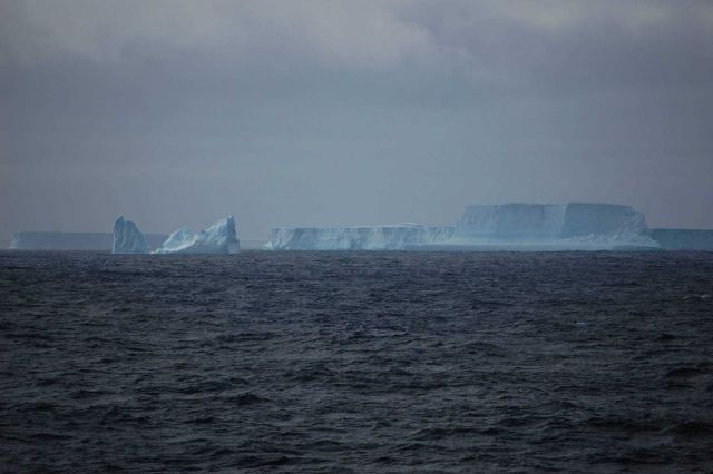 Icebergs Picture