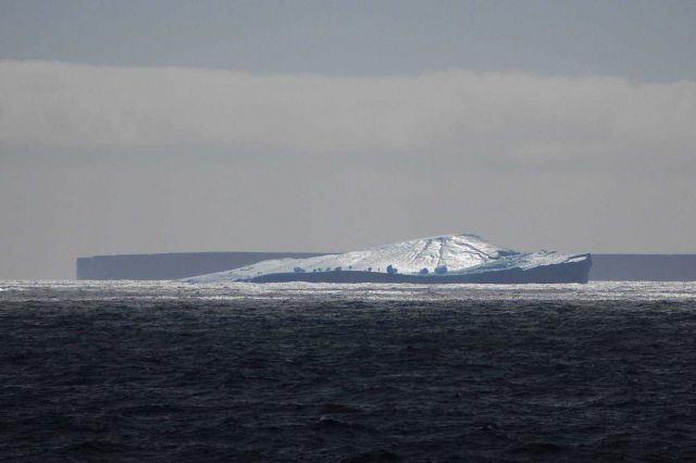 Icebergs Picture