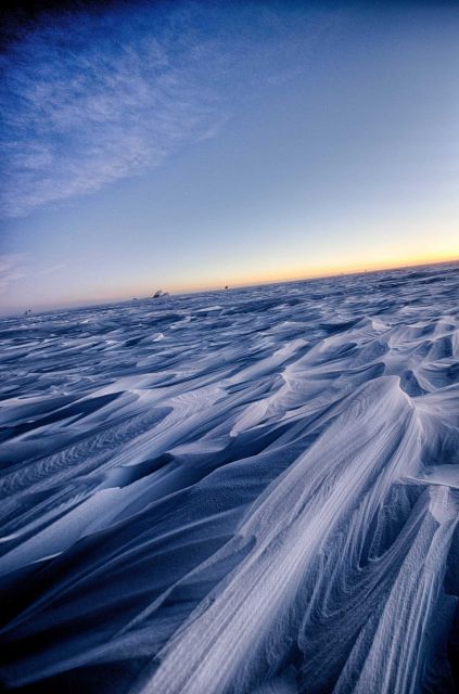 Sastrugi - wind sculpted snow Picture