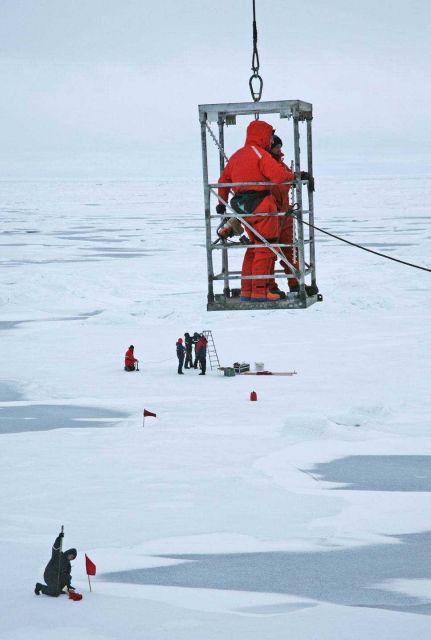 With no gangway available, scientists and crew had to be hoisted from the ship to the ice Picture
