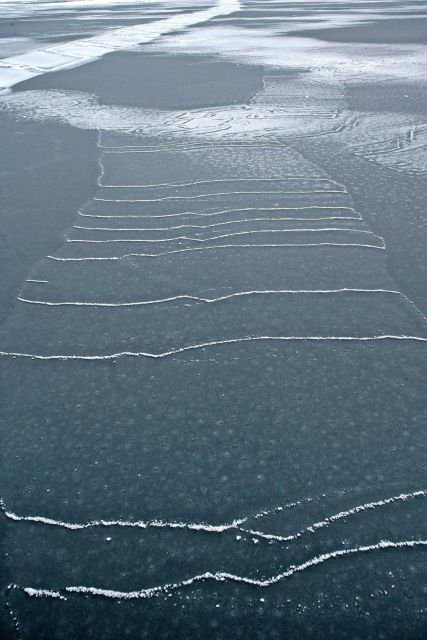 Grease ice forming as the Arctic Ocean cools with the approaching winter Picture